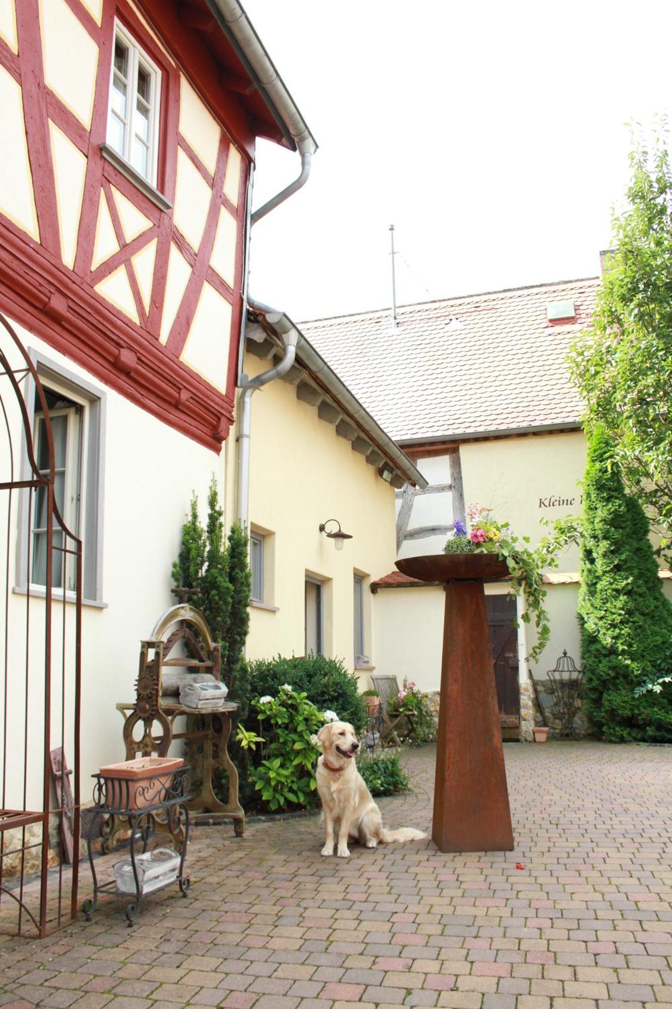 Kleine Residenz Am Schloss Hochheim am Main Ngoại thất bức ảnh